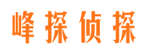 忻府市私家侦探